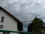 Třibřichy